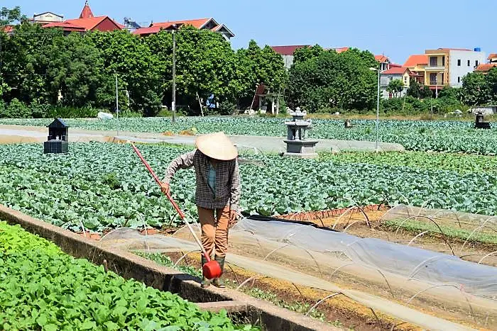 Farmer at work in Central Vietnam