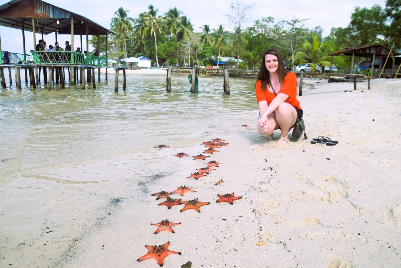 Starfish on a beach in Phu Quoc