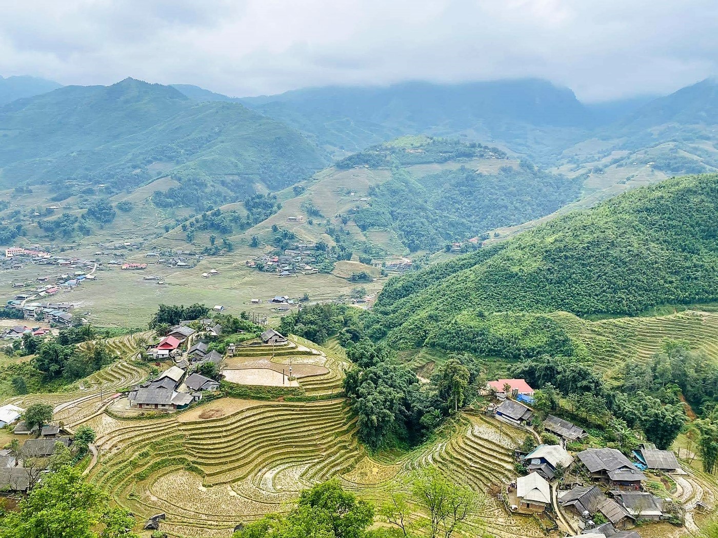 View of the rice paddies in Sapa