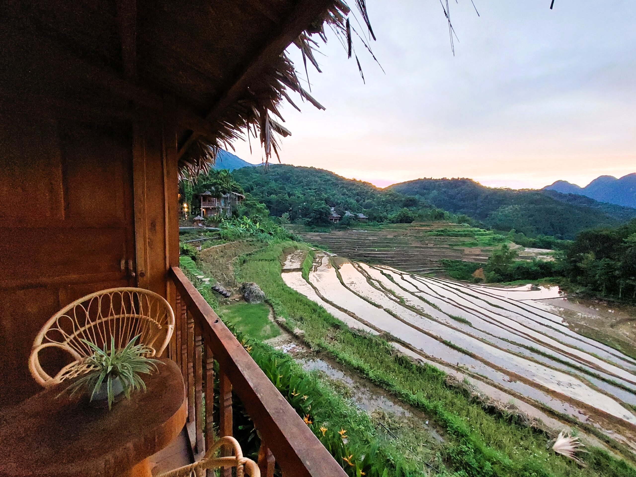 Pu Luong Nature Reserve rice terraces
